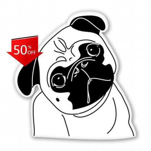 Pug Face Unique Motor Home Boa - đánh giá và giá Laptop Unique Accessories